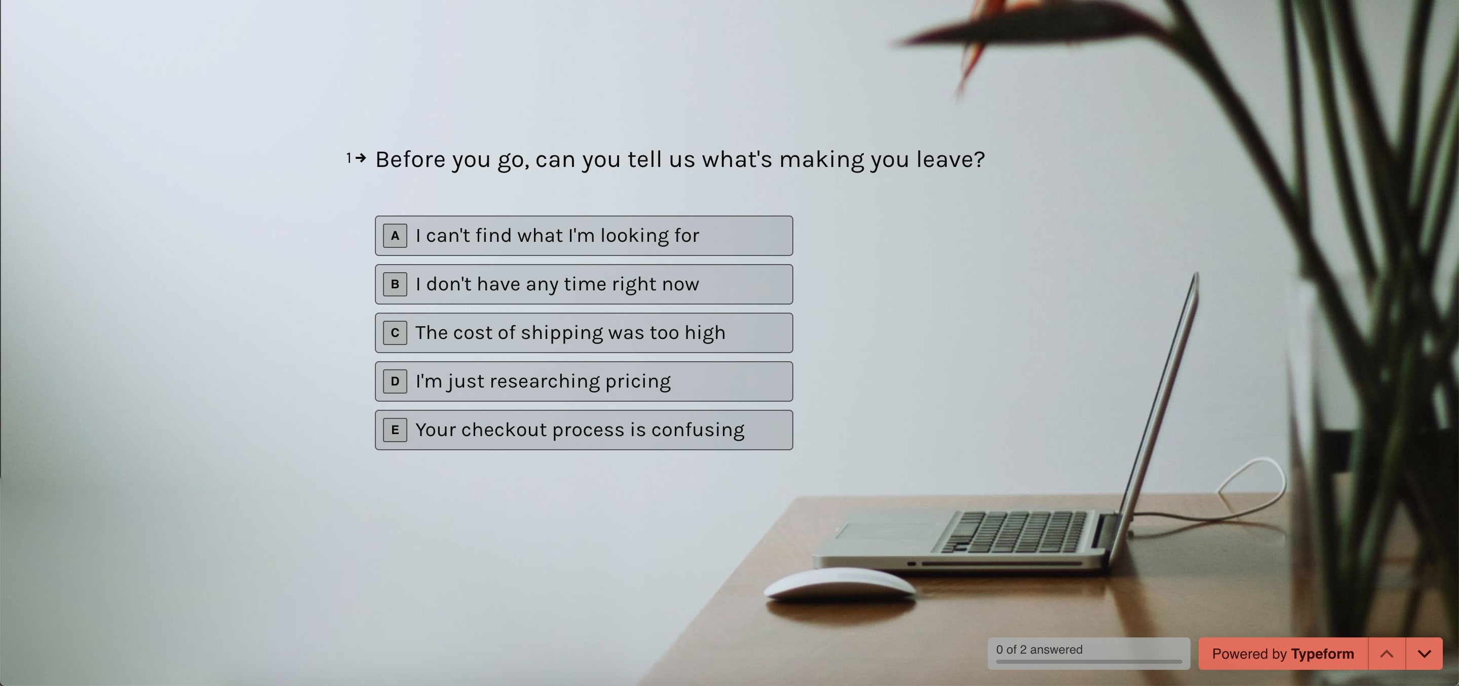 Exit-intent-on-site-survey.typeform.jpg